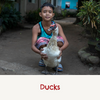 Donate ducks