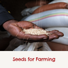 Donate seeds for farming